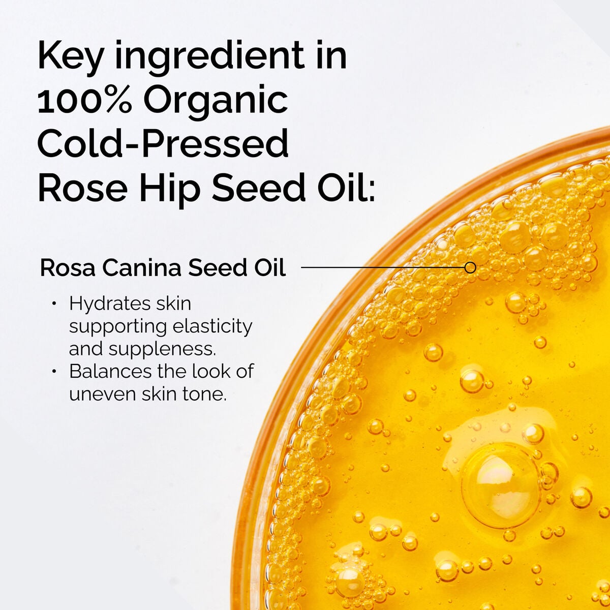 100-organic-cold-pressed-rose-hip-seed-oil-w1 FY25-D41247-ORD-Web-PDP-100-Rose-Hip-Oil-1x1-EN-2.jpg